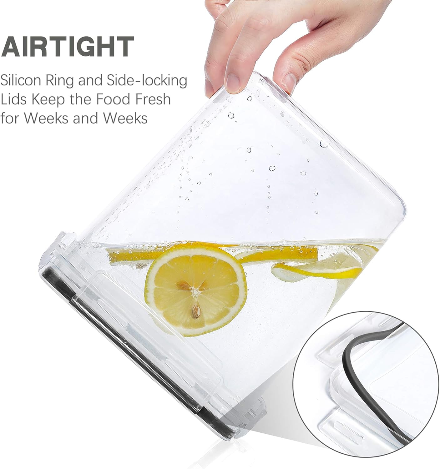 Large Food Storage Containers  - Kitchen Baking Organization 리뷰 및 가격